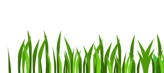 Grafik Element Grasanimation