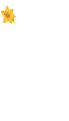 Grafik Element Glockenblumenanimation