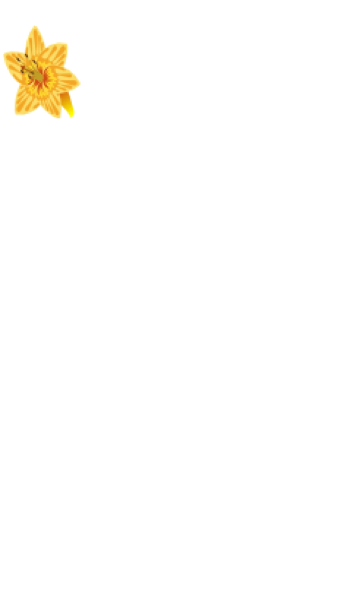 Grafik Element Glockenblumenanimation