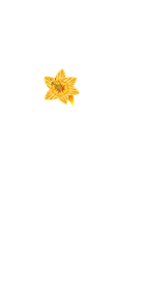 Grafik Element Glockenblumenanimation