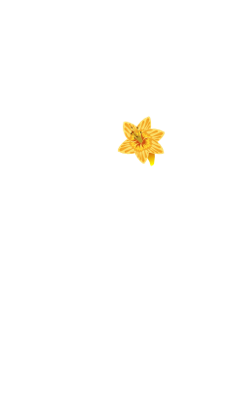 Grafik Element Glockenblumenanimation