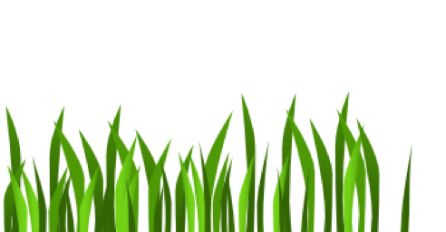 Grafik Element Grasanimation