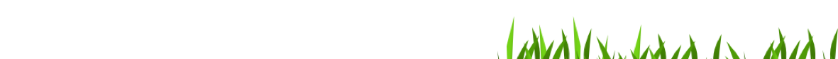 Grafik Element Grasanimation