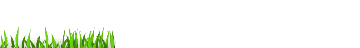 Grafik Element Grasanimation