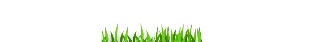Grafik Element Grasanimation