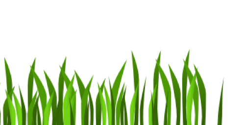 Grafik Element Grasanimation