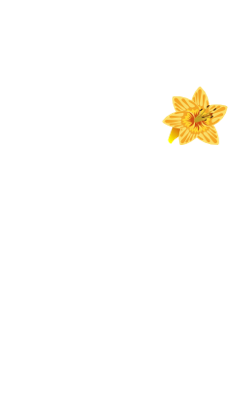 Grafik Element Glockenblumenanimation