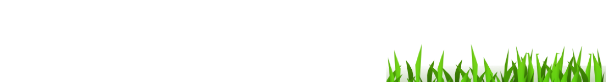 Grafik Element Grasanimation