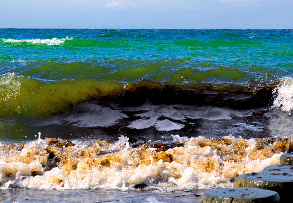 Foto von brechenden Wellen am Strand